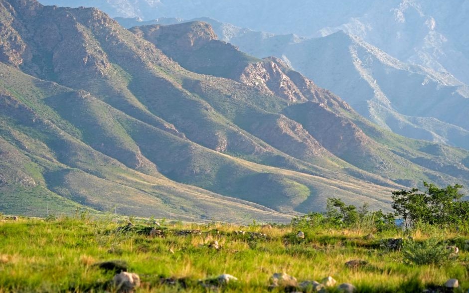 美丽中国丨绿染贺兰山